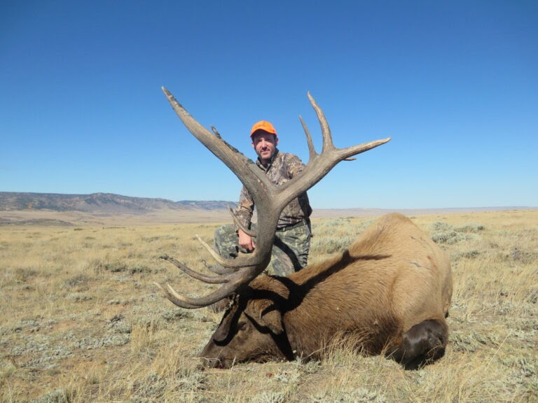 Wyoming Elk Draw Odds 2020 Skellington Drawing Tutorial