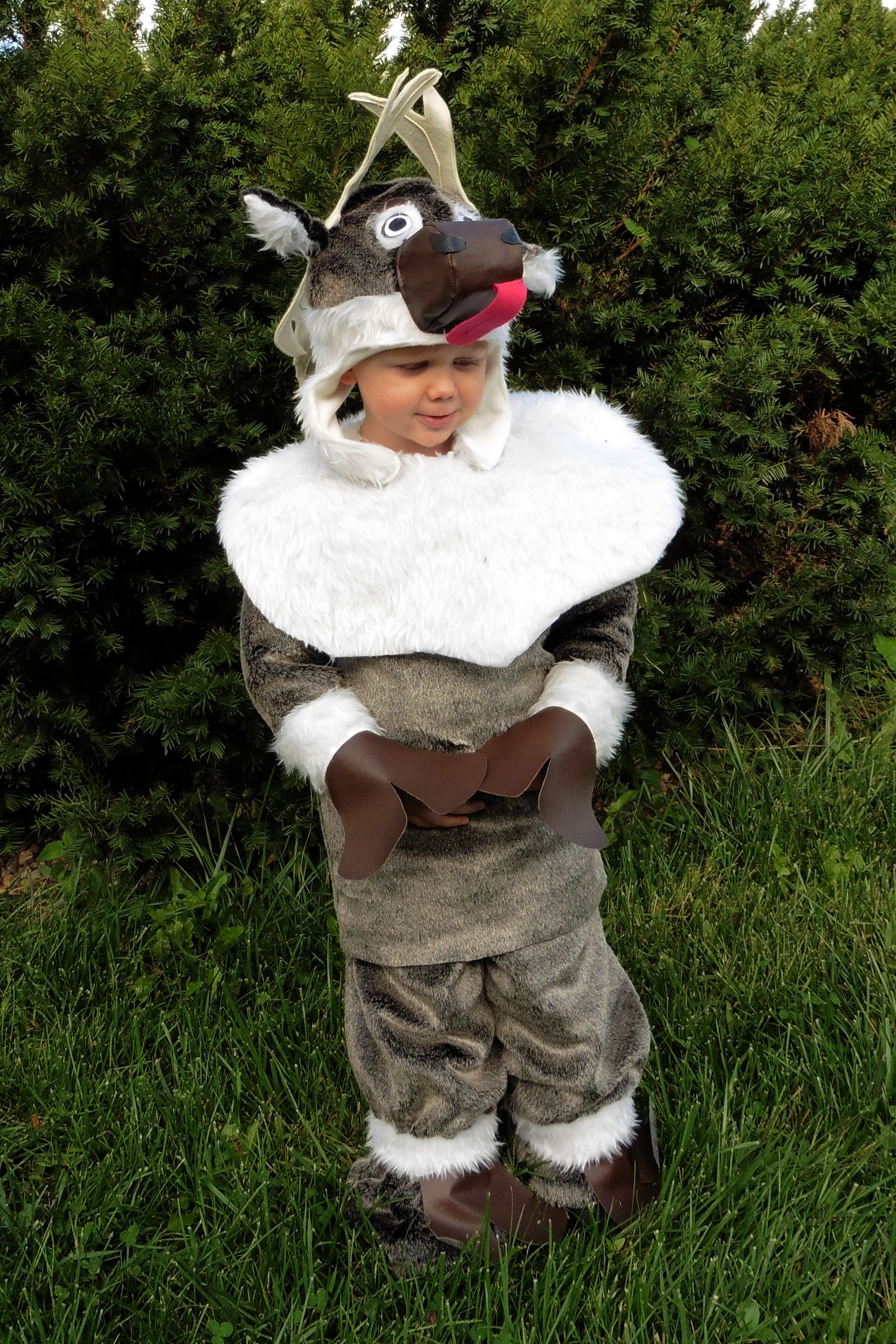 frozen sven costume