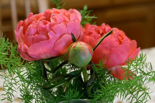 Pink peonies