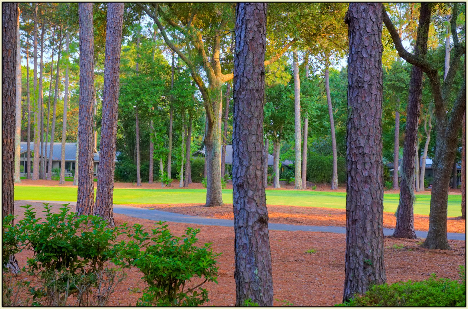 Sea Pines Country Club HDR