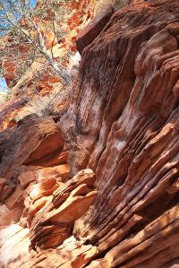 Free Image Hosting at www.ImageShack.us