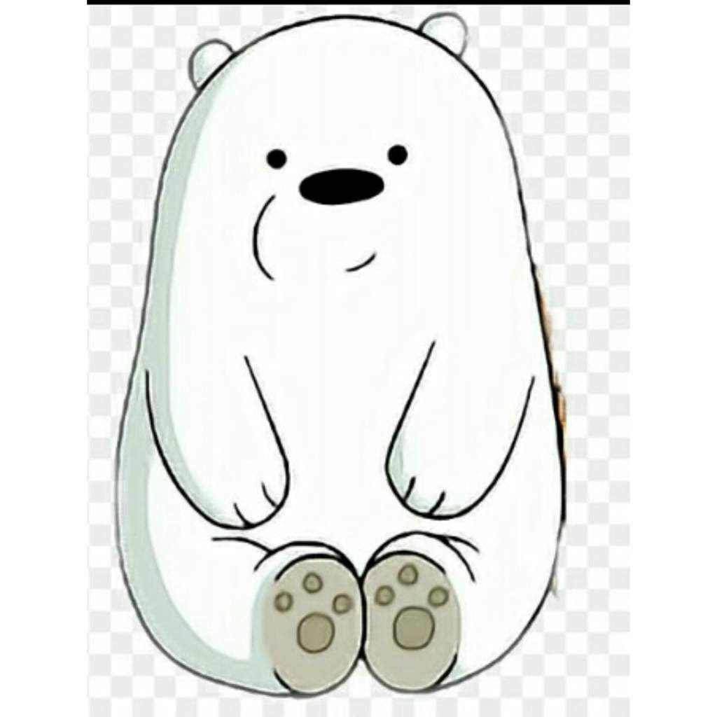 Download Oso Polar Dibujo Pictures - DB