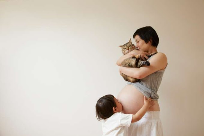 Toxoplasmosis felina y el embarazo: una razón frecuente para abandonar