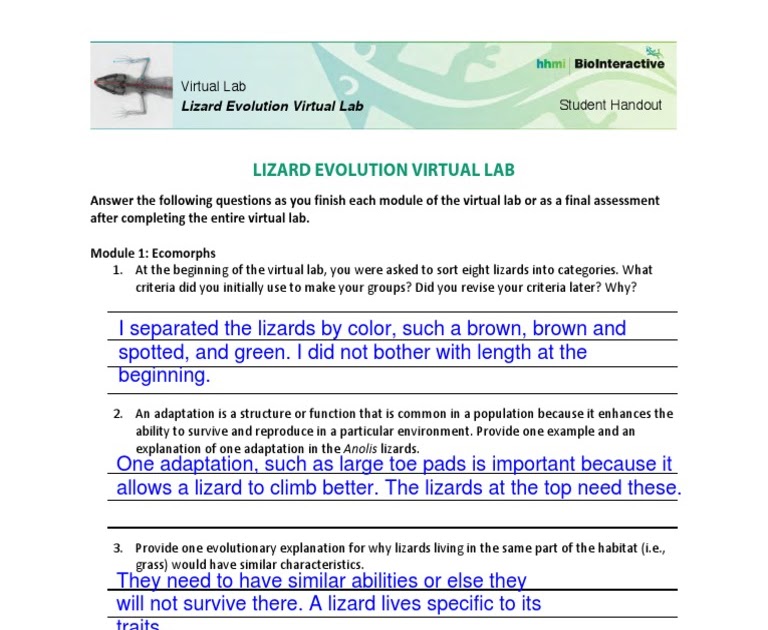 Natural Selection Gizmo Answer Key Activity B / Student Exploration