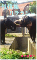 Photo_2 Photo_2