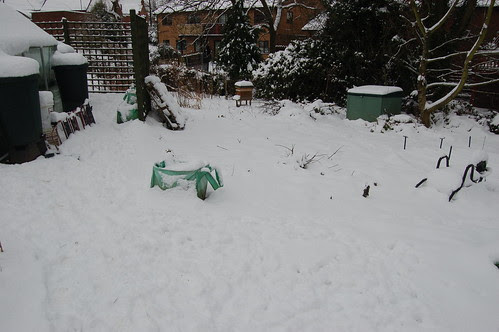 allotment snow Jan 13 2