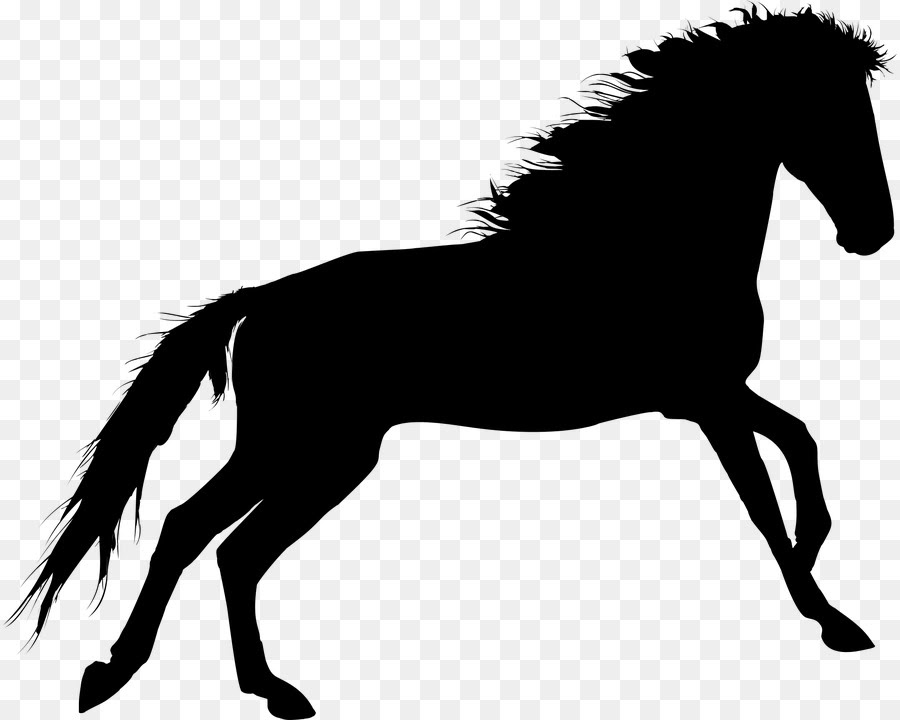 Download 47+ Free Horse Mandala Svg PNG Free SVG files | Silhouette ...