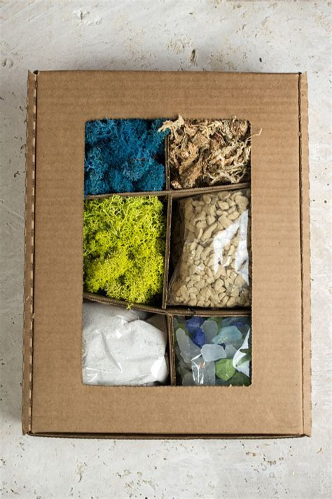Terrarium Kit with Sand, Gravel, Mosses, & Sea Glass Terrarium Kit with Sand, Gravel, Mosses, & Sea Glass