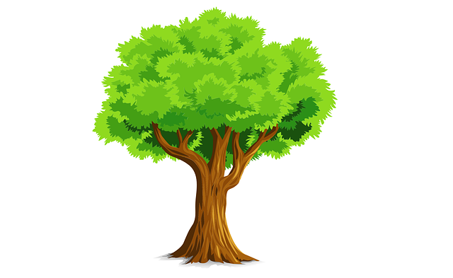Terpopuler 38 Pohon AnimaSi