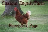 Adventures in Country Living at Shalom Engedi Farm: Churning Butter