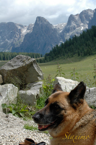 Tosca in montagna