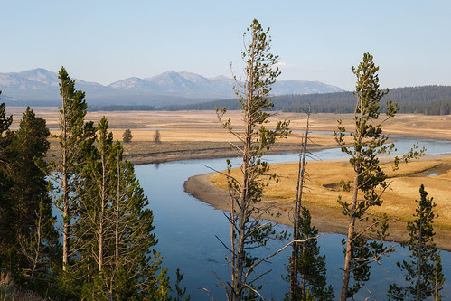 Hayden Valley