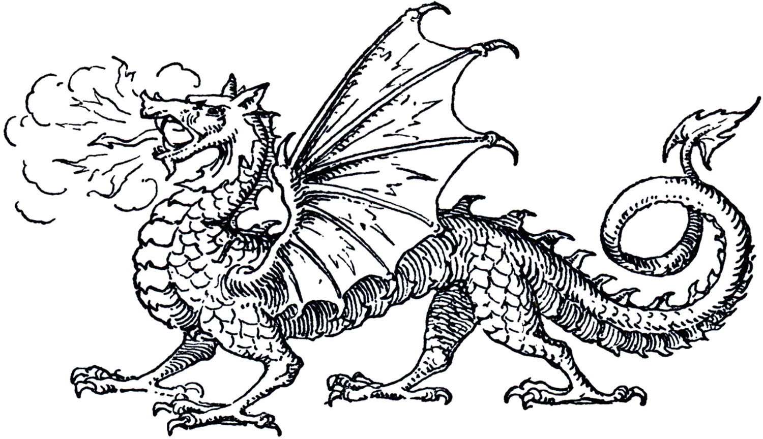 Download 250+ Terrible Terror Dragon For Kids Printable Free Coloring