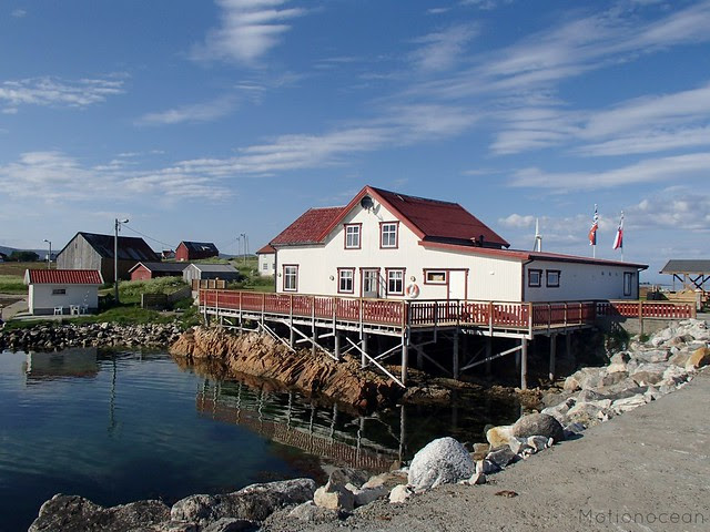 Brygga
