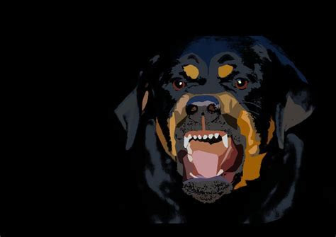 Rottweiler Wallpaper for My Computer WallpaperSafari Rottweiler Wallpaper for My Computer WallpaperSafari