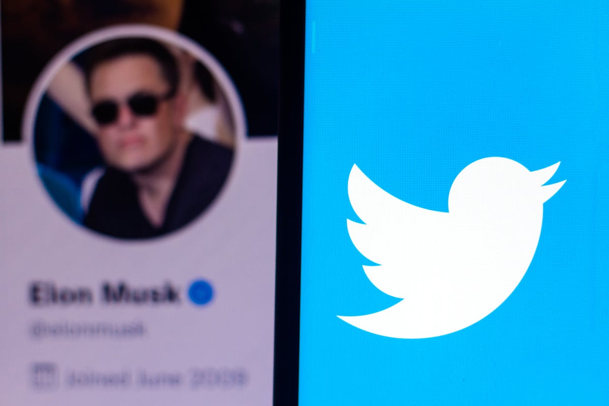 Twitter Wants To Know If Elon Musk, Whistleblower 'Mudge' Had Previous Links As Court Trial Draws Closer