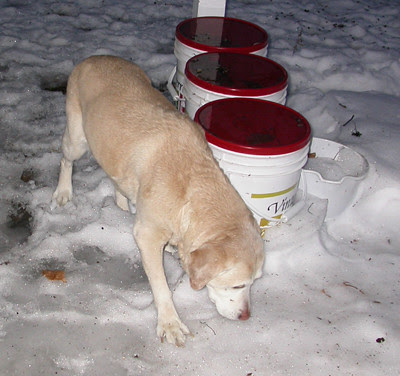 Ice!