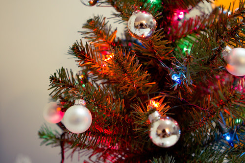 our little christmas tree