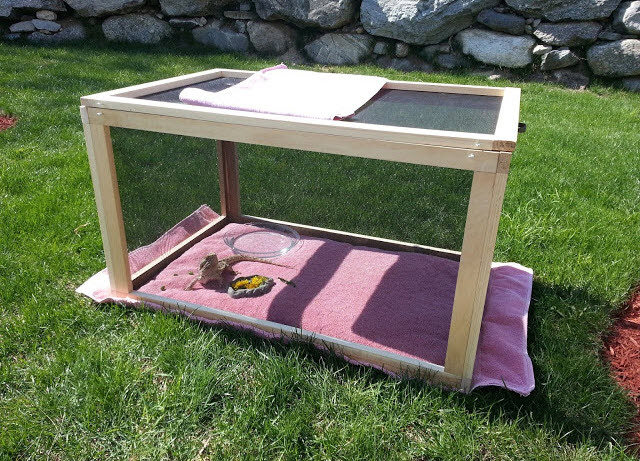 Diy Reptile Enclosure Furniture - Crafts DIY and Ideas Blog
