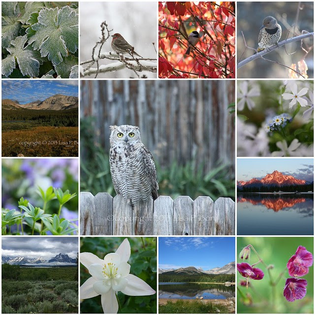 2013 Best Photos