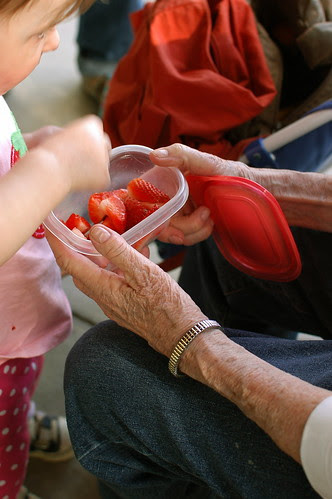 grandmother feeds her strawberries