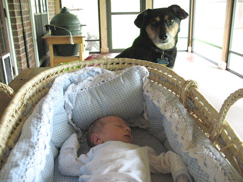 home 2 008 fixed
