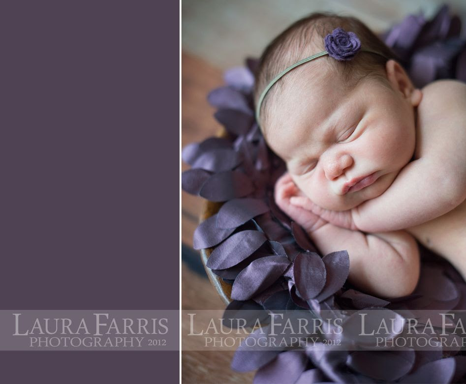 boise area newborn photographers