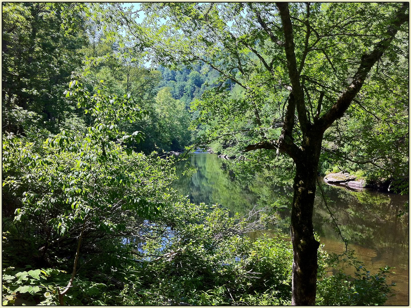 Tellico 01