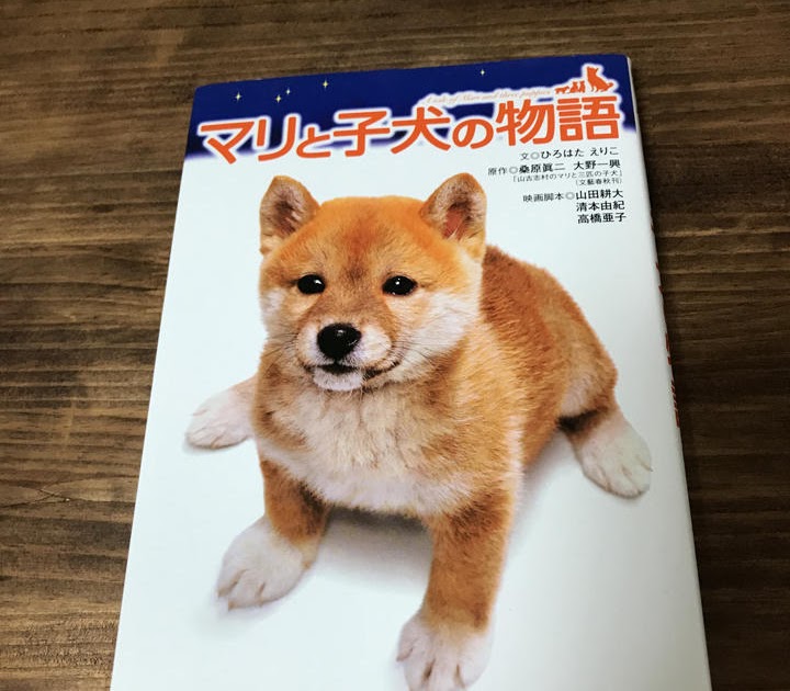 いろいろ マリ と 子犬 の 物語 読書 感想 文 806947 Mbaheblogjpl4xy