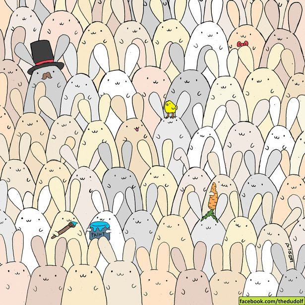 Can you find the EGG amongst the bunnies?