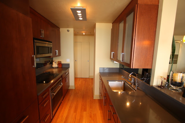 Gold Coast High-Rise Condo & Kitchen Gut Renovation and Interior