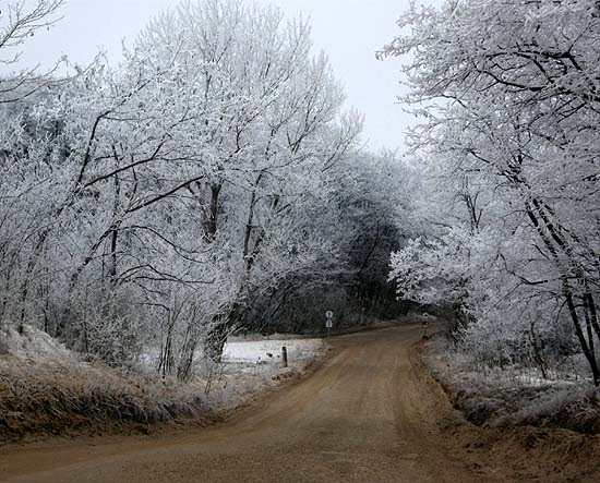 Csömör, Kistarcsa felé vezető földút, 2007 december, nagy havazás után
