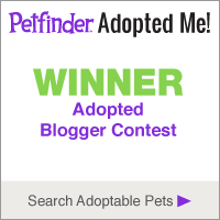 2013 Adopted Blogger Contest
