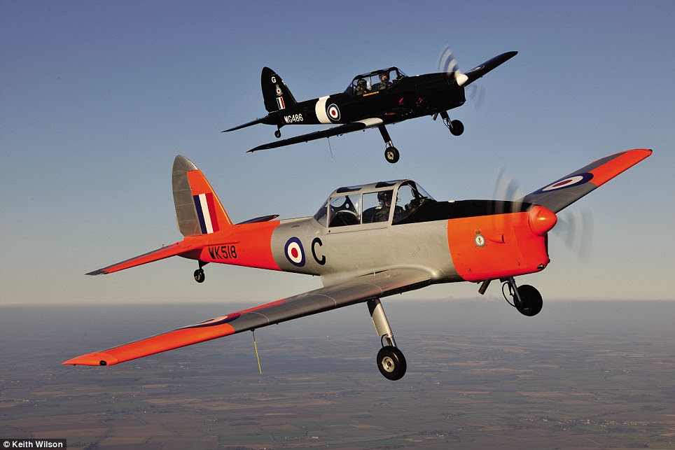 Up in the air: Chipmunk trainers in the Battle of Britain Memorial Flight, which performs at flying displays across Britain every summer
