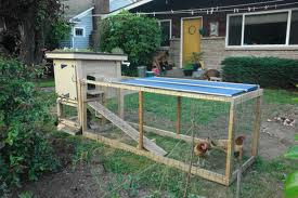 Why Don T Cities Want Backyard Chickens Mikethechickenvet