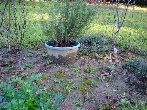 Herb Garden