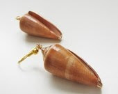 Cone big seashell earrings- glamour golden line- sea earrings- cone shell - selenedream