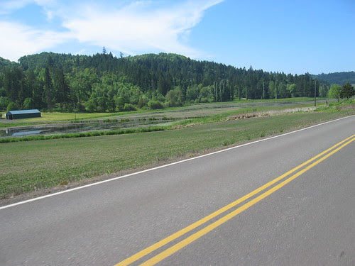 Wetland on North Valley Rd