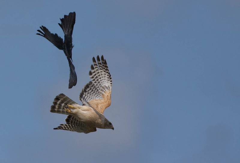 Photo & Video Sharing by SmugMug Photo & Video Sharing by SmugMug