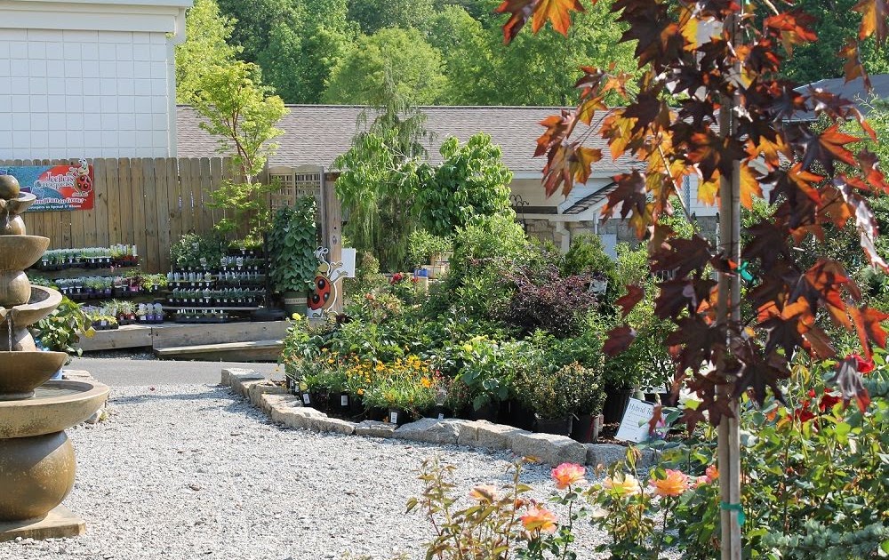 New Garden Nursery Near Greensboro Nc - Garden Layout