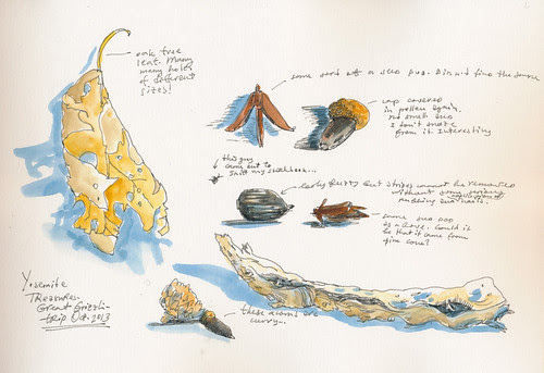Oct 2013: Yosemite Trip - Treasures
