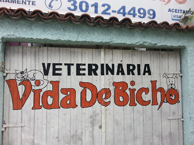 Avaliações sobre Veterinária Vida de Bicho em Rio de Janeiro - Veterinário