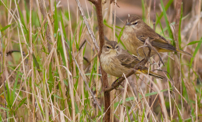 Photo & Video Sharing by SmugMug Photo & Video Sharing by SmugMug