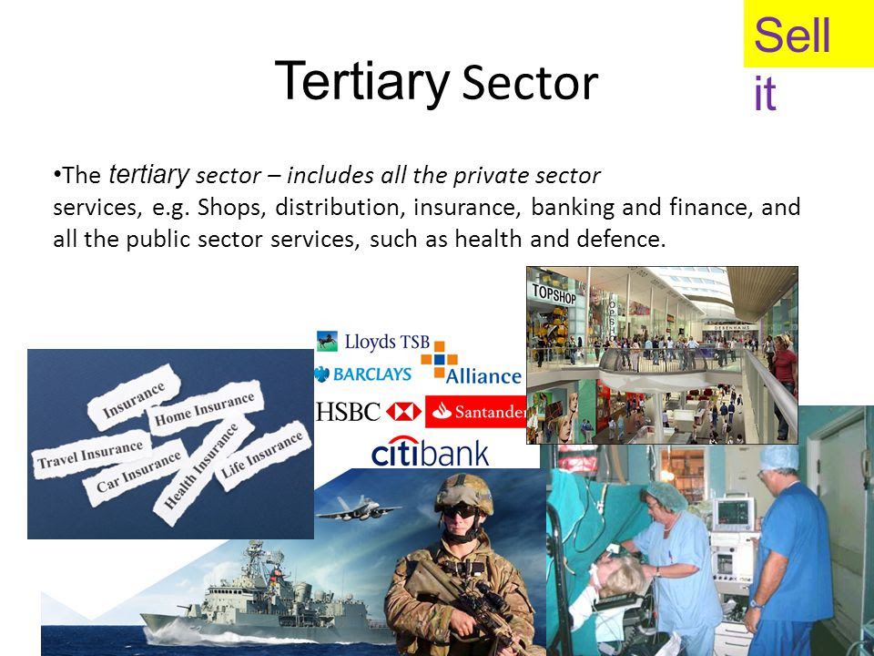 canonprintermx410 25 Beautiful What Is Tertiary Insurance
