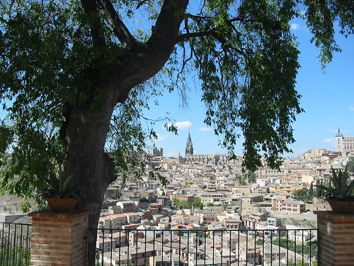 Gran almez (Celtis australis) en la ermita del Valle, Toledo (España)