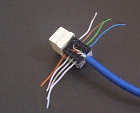 Modular Jack Wiring Jack Pins Numbered | wiring radar cat 5 cable wall plug wiring diagram 