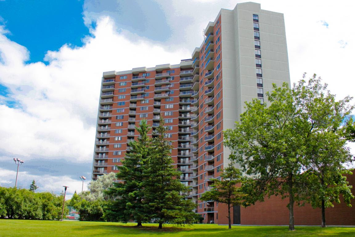 16 Best Kijiji Toronto Basement Apartment For Rent In Woodbridge