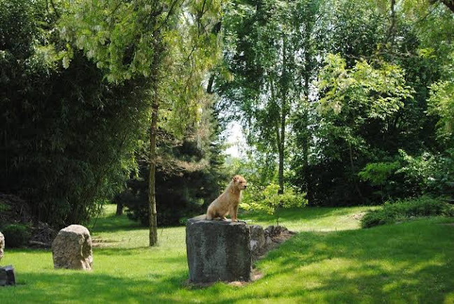 Villa Hedi Panzió - Szálloda