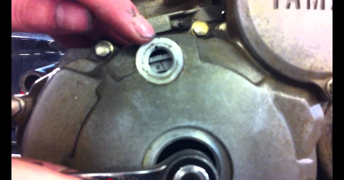 Yamaha Grizzly 125 Timing Chain Pdf - Dorothy Graves