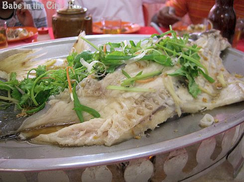 Steamed River Patin Fish